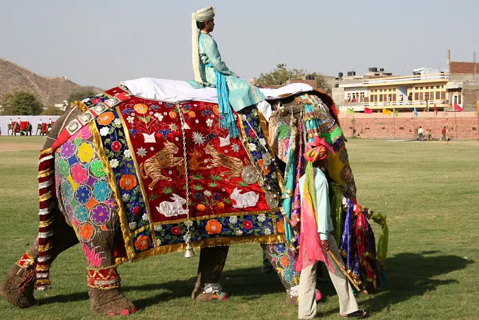 Jaipur-elephant-festival