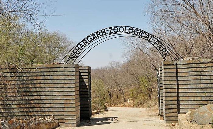 Nahargarh Biological Park Jaipur