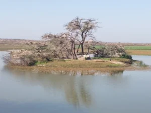 Sorsan wildlife sanctuary